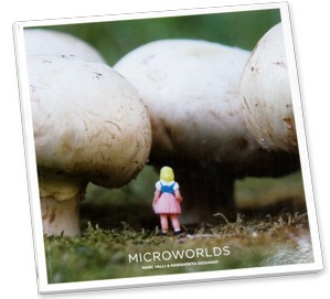 MICROWORLDS BOOK